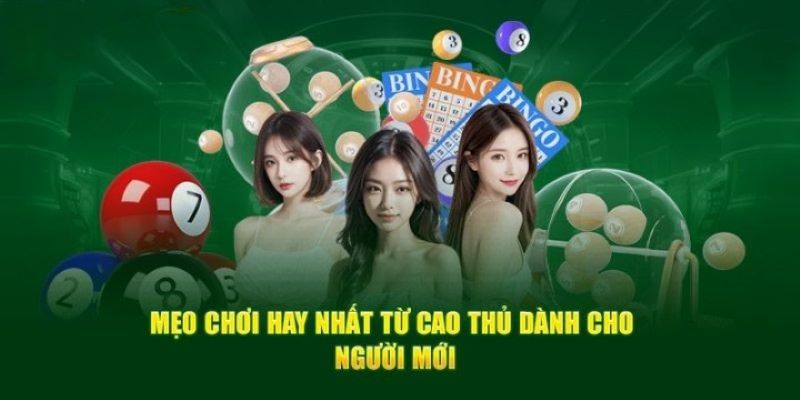 cược kubet